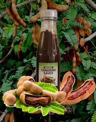 tamarind tamarind